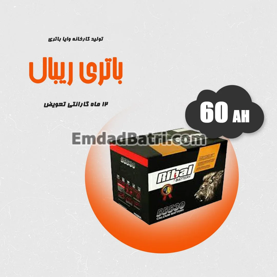 باتری 60 آمپر ریبال