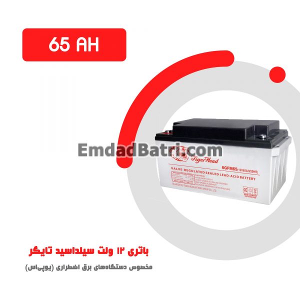 باتری 65 آمپر ساعت یو پی اس تایگر