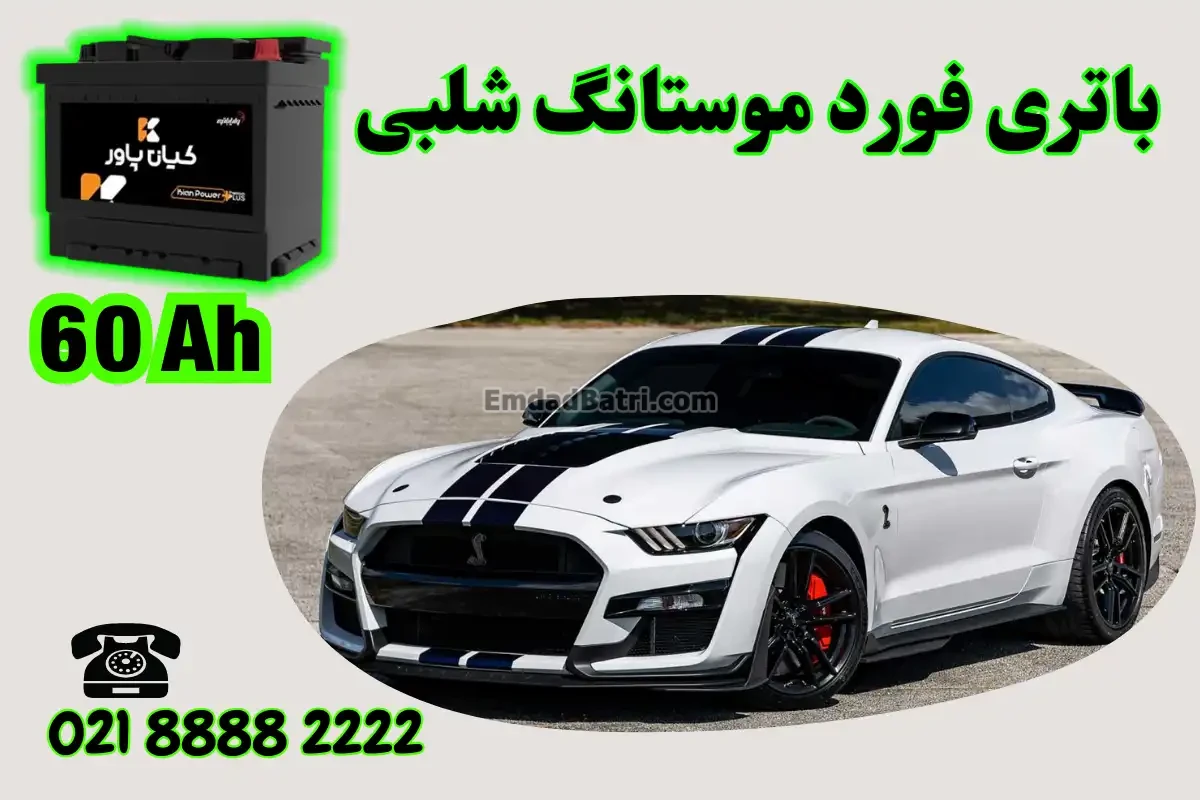 ظرفیت باتری فورد موستانگ شلبی