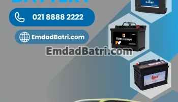باتری بی وای دی دلفین