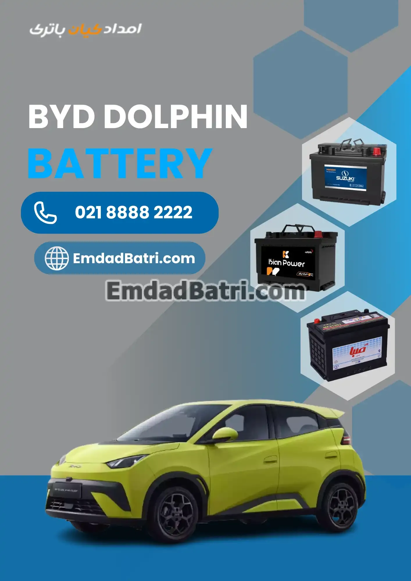 باتری بی وای دی دلفین